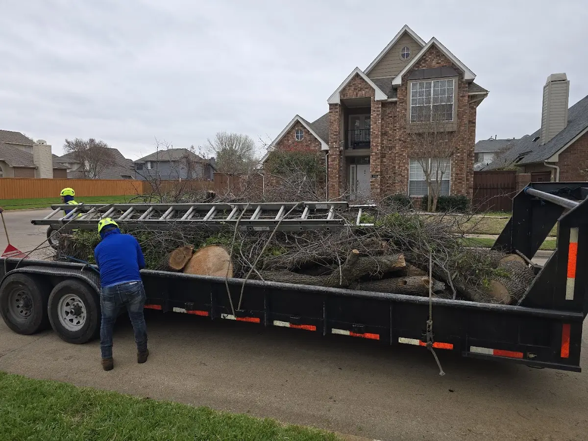 Expert Tree Fertilization with proper safety equipment in Tillamook